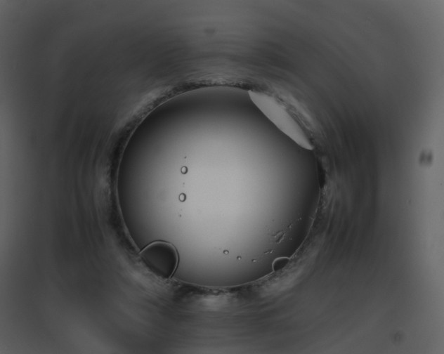 X0000096700306200802121208