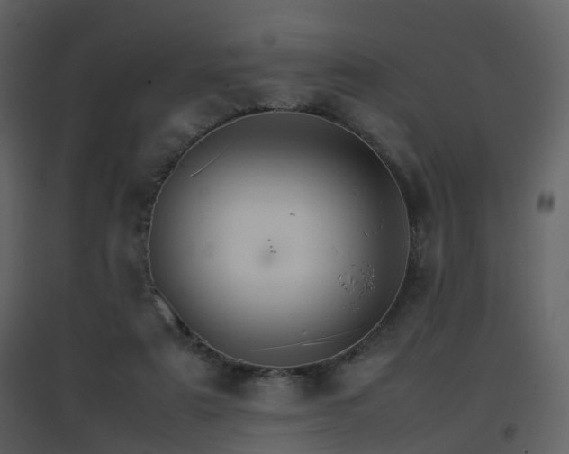 X0000096700307200802121208