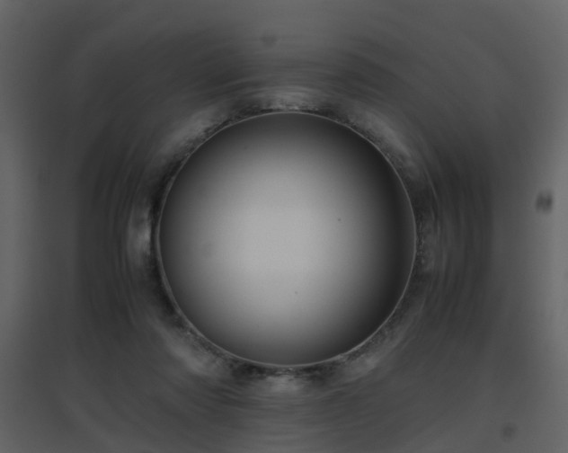 X0000096700310200802121208