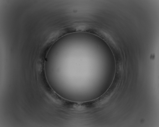 X0000096700311200802121208