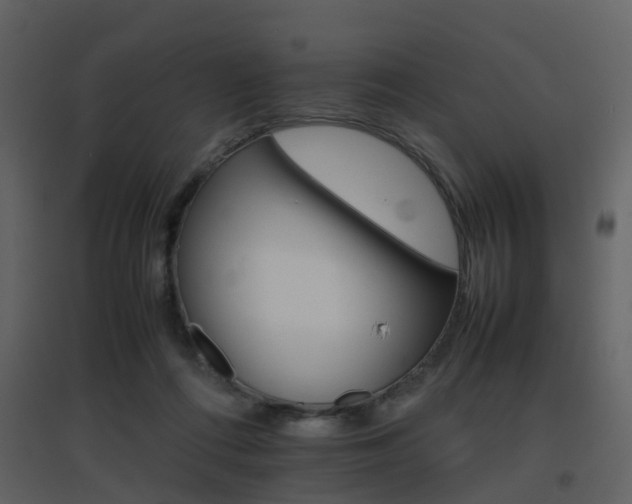 X0000096700312200802121208