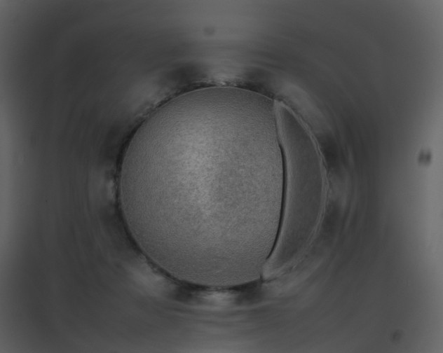 X0000096700313200802121208