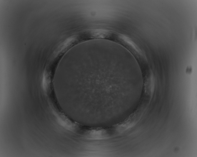 X0000096700314200802121208