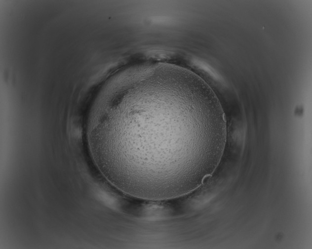X0000096700315200802121208