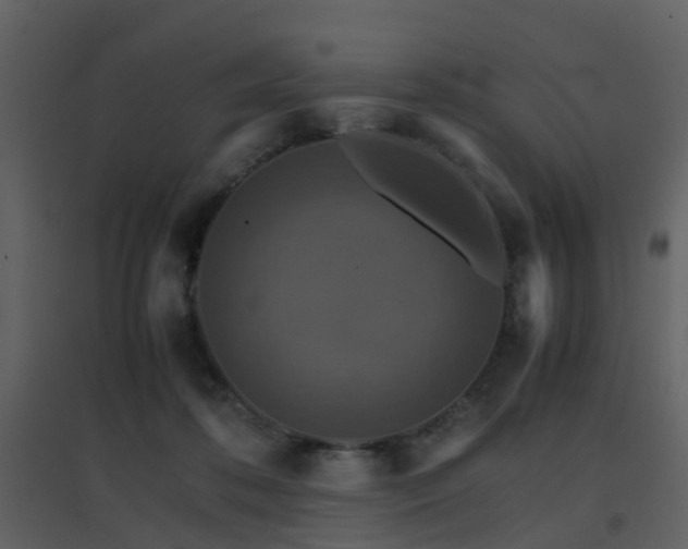 X0000096700316200802121208