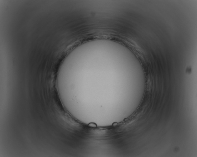 X0000096700318200802121208