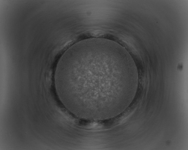 X0000096700319200802121208