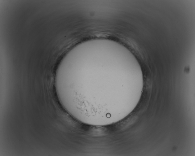 X0000096700321200802121208