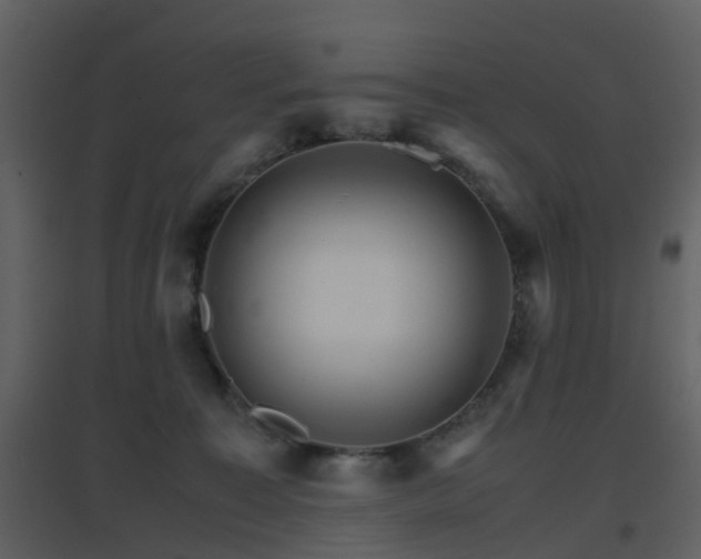 X0000096700323200802121208