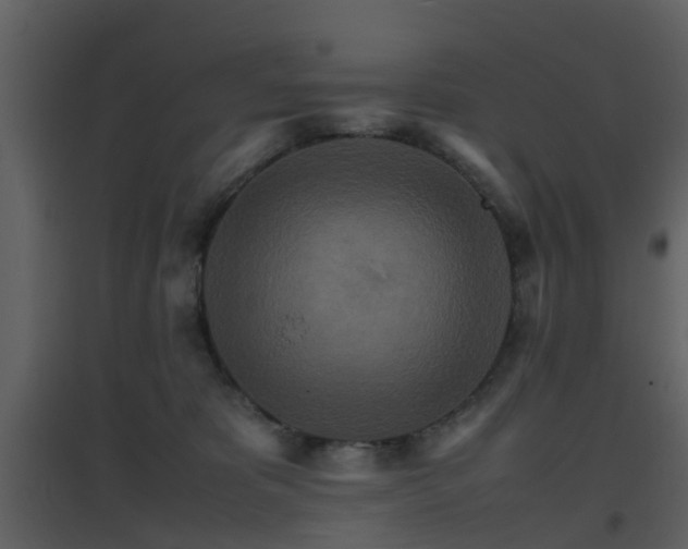 X0000096700325200802121208