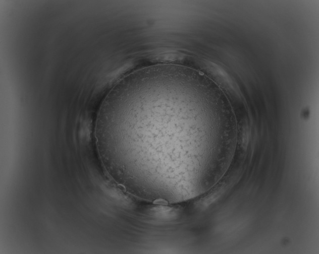 X0000096700326200802121208