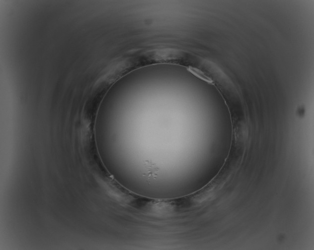 X0000096700327200802121208