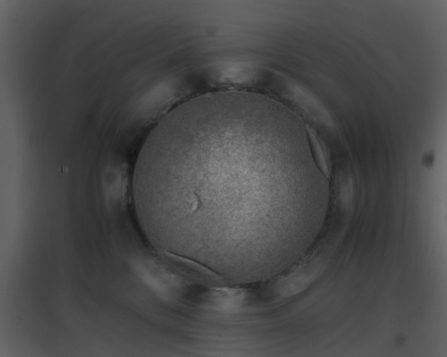 X0000096700328200802121208