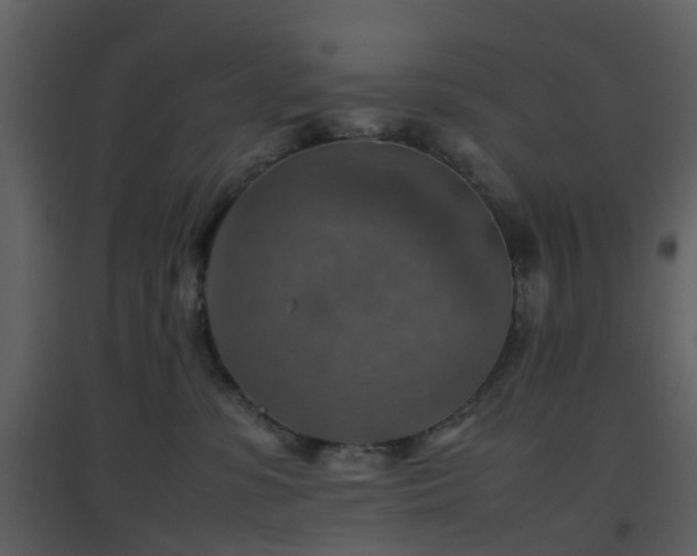 X0000096700331200802121208