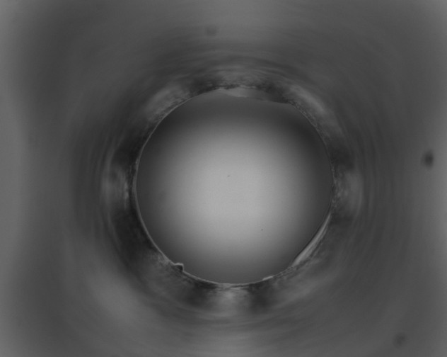 X0000096700333200802121208