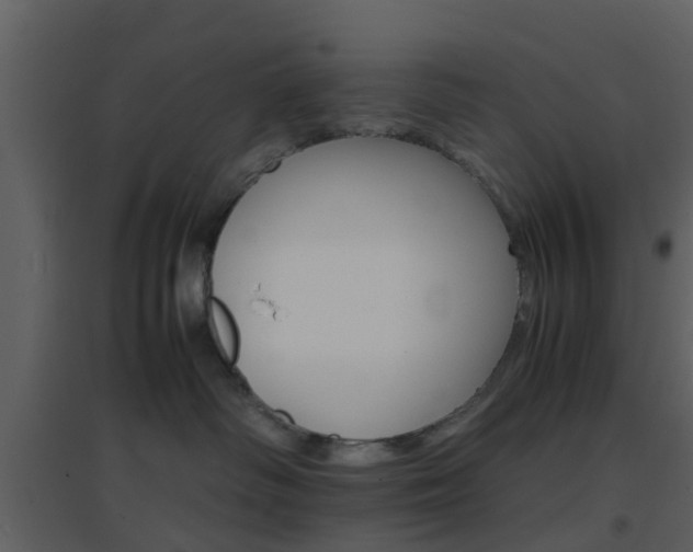 X0000096700334200802121208