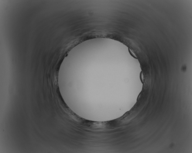 X0000096700335200802121208