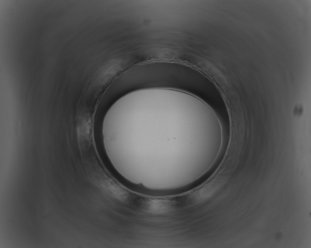 X0000096700336200802121208