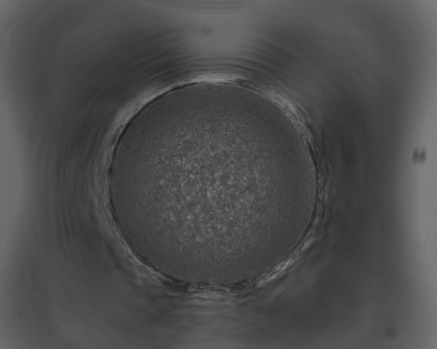 X0000096700337200802121207