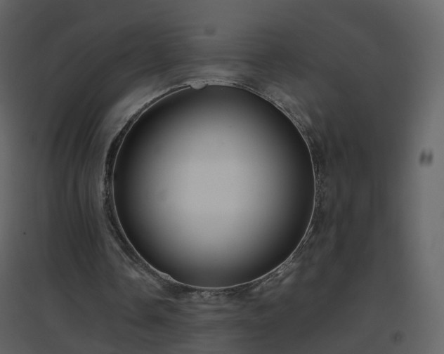 X0000096700338200802121207