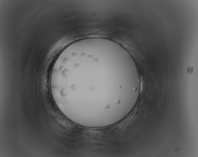 X0000096700339200802121207