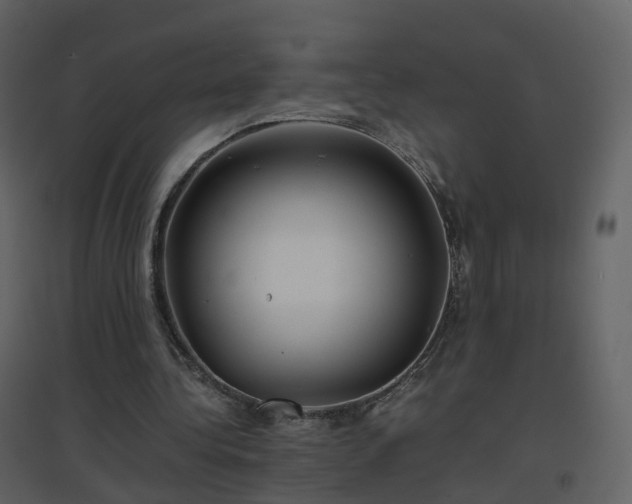 X0000096700340200802121207