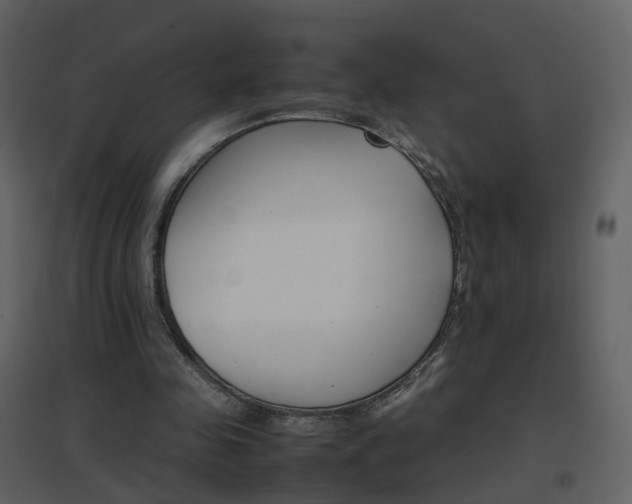 X0000096700341200802121207