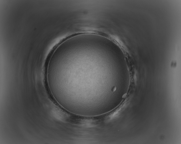 X0000096700342200802121207