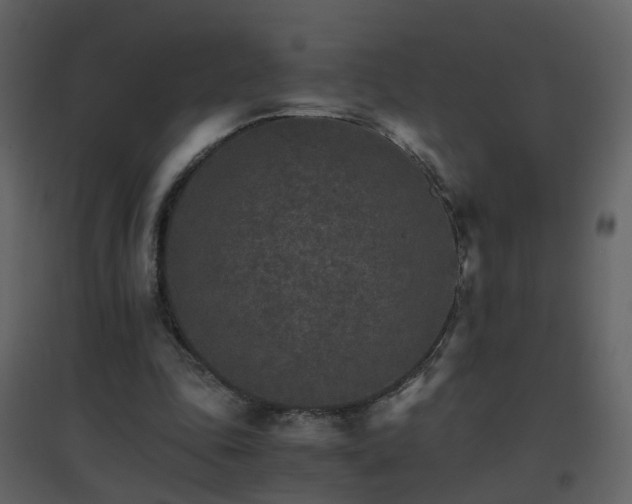 X0000096700343200802121207