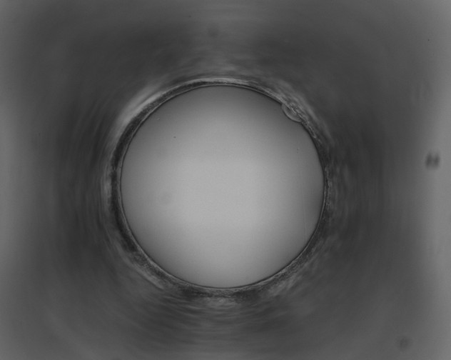 X0000096700344200802121207