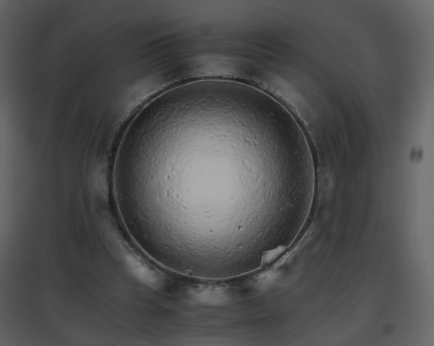 X0000096700345200802121207