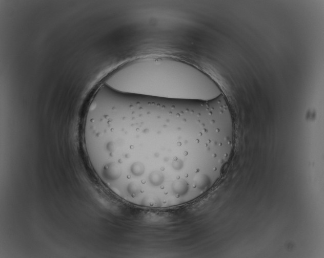 X0000096700346200802121208