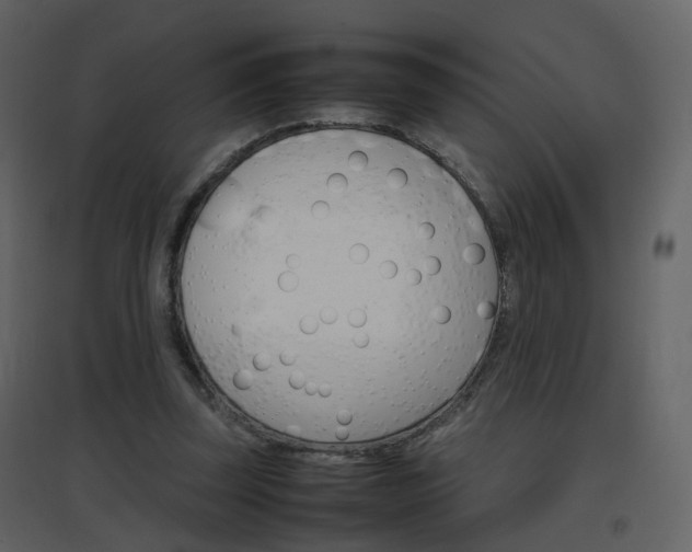 X0000096700347200802121208