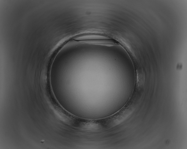 X0000096700348200802121208