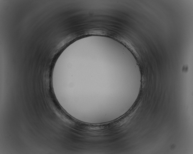 X0000096700349200802121208