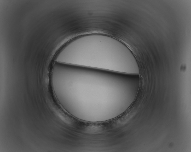 X0000096700350200802121208