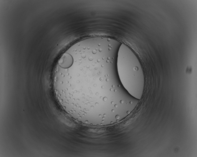X0000096700351200802121208