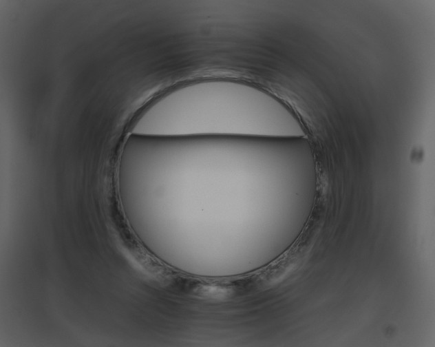X0000096700352200802121208