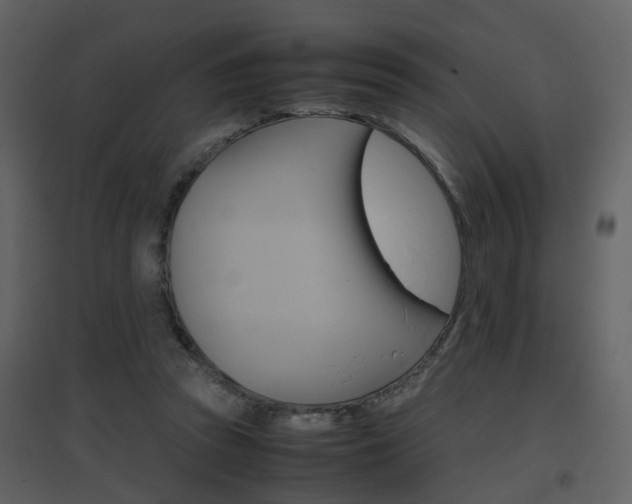 X0000096700353200802121208