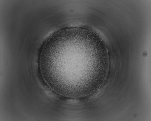X0000096700354200802121208