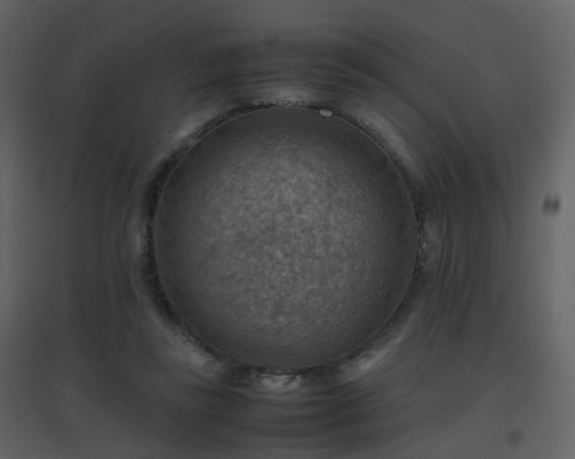 X0000096700355200802121208
