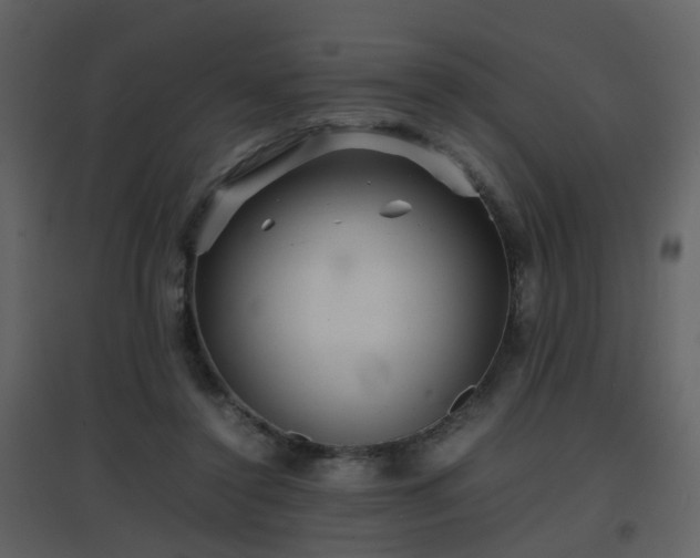 X0000096700356200802121208
