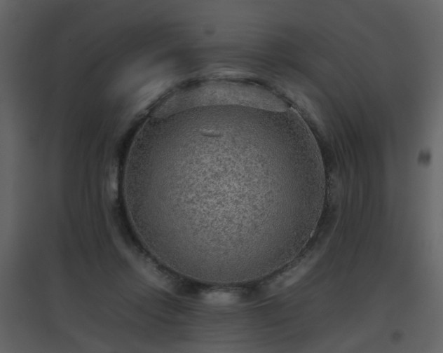 X0000096700358200802121208