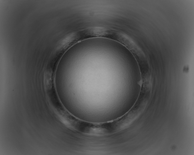 X0000096700360200802121208