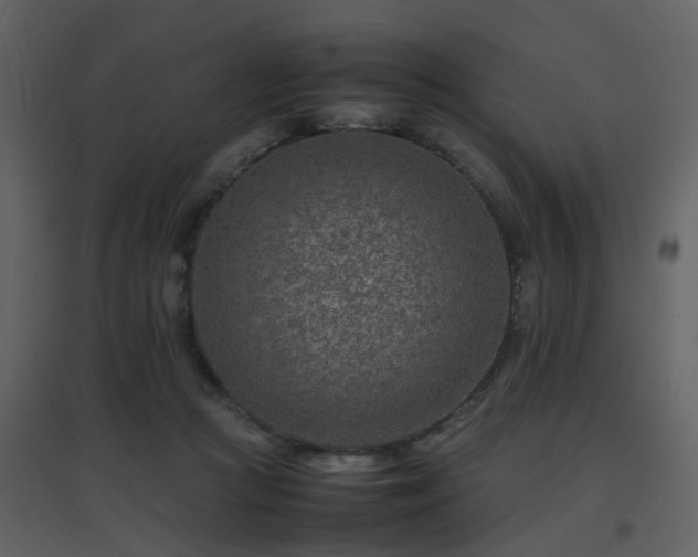 X0000096700361200802121208