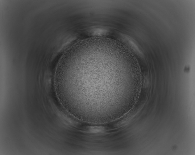 X0000096700363200802121208