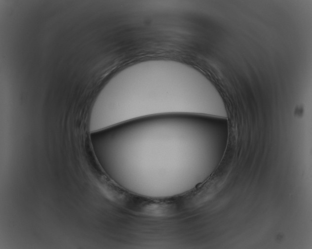 X0000096700364200802121208