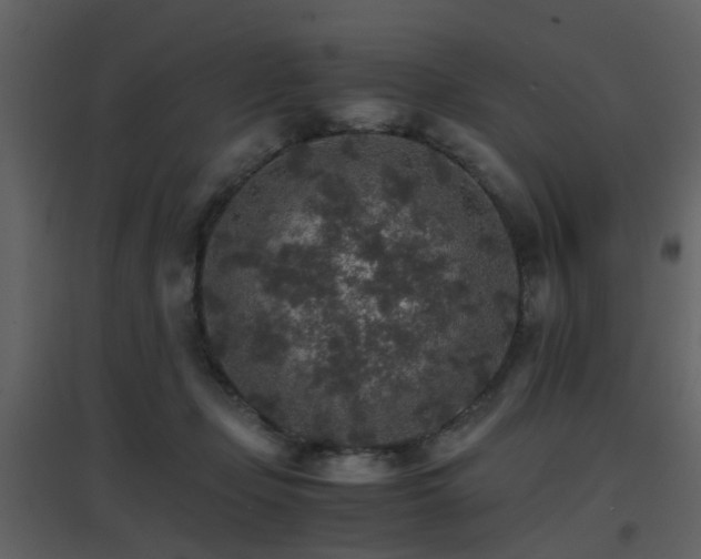 X0000096700365200802121208