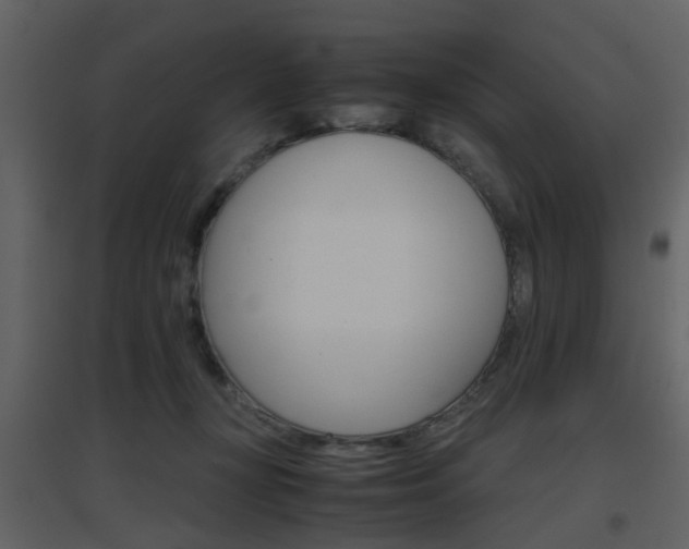 X0000096700367200802121208