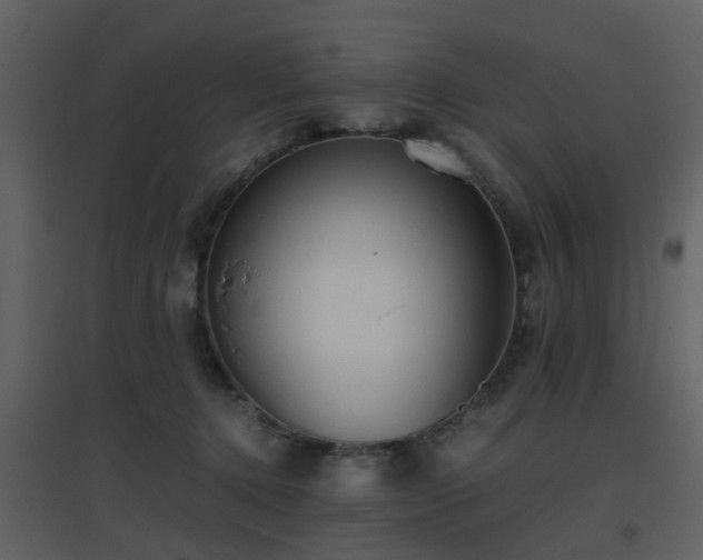 X0000096700368200802121208